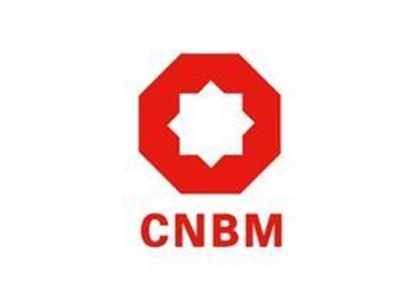 中國建材報：中國建材發布2020年度業績報告