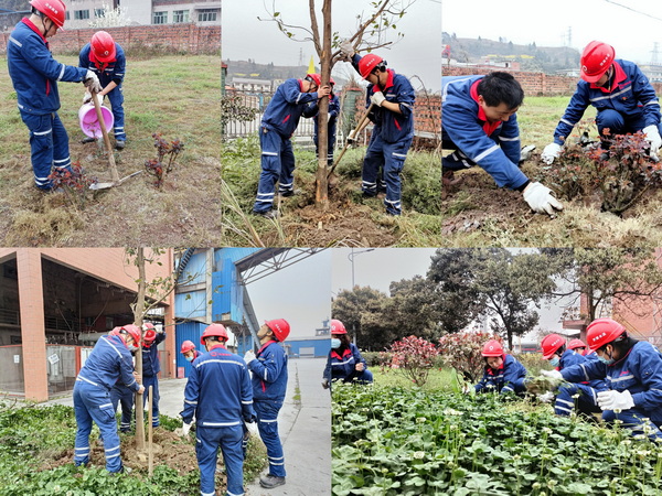 1648564050853003.jpg 天鷹--編輯--官網.jpg