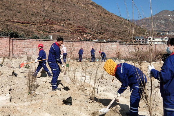 1648564093451552.jpg 泰昌--編輯--官網.jpg